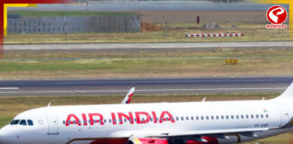 টেক অফের সময় ধাক্কা খেল পাখি! রক্ষা পেল এয়ার ইন্ডিয়ার বিমান