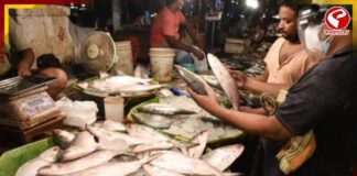 গুজরাটের ইলিশের রকমারি পদ দিয়ে রসনা তৃপ্ত করছে বাঙালি!