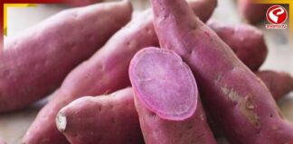 রাঙালুর গুণে ওজন এখন হাতের মুঠোয়