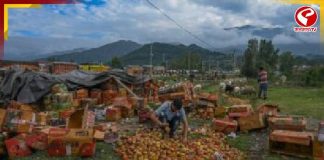 বন্ধ শ্রীনগর-জম্মু হাইওয়ে! ট্রাকেই পচছে কয়েকশো কোটি টাকার আপেল
