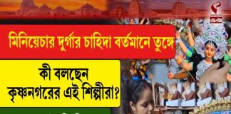 মিনিয়েচার দুর্গার চাহিদা বর্তমানে তুঙ্গে, কী বলছেন কৃষ্ণনগরের এই শিল্পীরা?