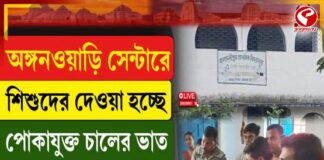 অঙ্গনওয়াড়ি সেন্টারে নিম্নমানের চাল খাওয়ানোর অভিযোগ