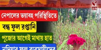 নেপালের ভয়াবহ পরিস্থিতিতে বন্ধ ফুল রপ্তানি, মাথায় হাত নদিয়ার ফুল ব্যবসায়ীদের