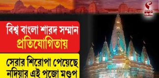 বিশ্ববাংলা শারদ সম্মান প্রতিযোগিতায় সেরার শিরোপা পেয়েছে নদিয়ার এই পুজো মণ্ডপ
