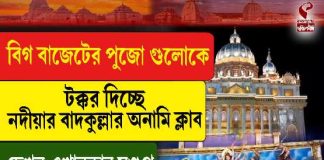 বিগ বাজেটের পুজোগুলিকে টক্কর দিচ্ছে নদীয়ার বাদকুল্লার অনামি ক্লাব