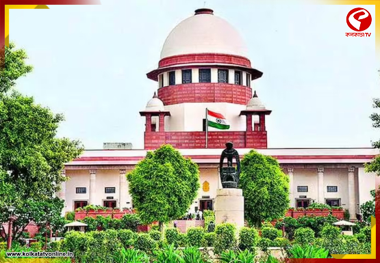 sc (2)