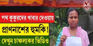 পথ কুকুরদের খাবার দেওয়ায় প্রাণনাশের হুমকি!