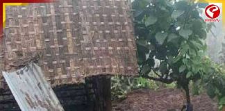 উত্তরবঙ্গ ও সিকিমে প্রবল বৃষ্টি, ধসে বন্ধ দার্জিলিং-কালিম্পংয়ের রাস্তা