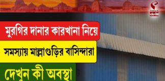 মুরগির দানার কারখানা নিয়ে সমস্যায় মাল্লাগুড়ির বাসিন্দারা, দেখুন কী অবস্থা