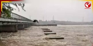 যমুনার জলস্তর ছাড়াল বিপদসীমা, গুরুগ্রামে বন্ধ স্কুল-অফিস