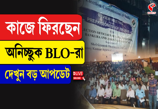 Breaking Jacket 555x385 (10)