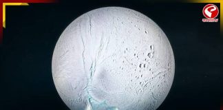 সৌরজগতেই রয়েছে এলিয়েন সভ্যতা! গবেষণায় মিলল ‘বিরাট’ প্রমাণ