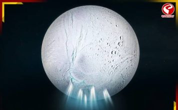 সৌরজগতেই রয়েছে এলিয়েন সভ্যতা! গবেষণায় মিলল ‘বিরাট’ প্রমাণ