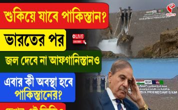 শুকিয়ে যাবে পাকিস্তান? ভারতের পর জল দেবে না আফগানিস্তানও