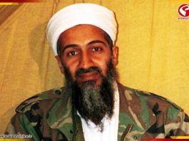 ওসামা বিন লাদেনকে নিয়ে বিস্ফোরক দাবি প্রাক্তন CIA অফিসারের