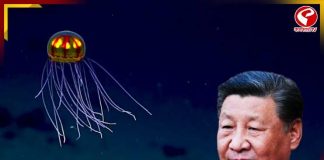 সমুদ্রে ‘ভুতুড়ে জেলিফিশ’ নামাচ্ছে চীন! কারণ জানলে চমকে উঠবেন