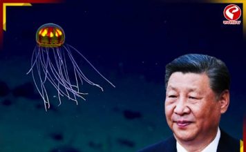 সমুদ্রে ‘ভুতুড়ে জেলিফিশ’ নামাচ্ছে চীন! কারণ জানলে চমকে উঠবেন