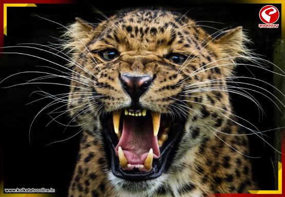 Breaking Jacket 555x385 - 2025-10-31T134529.548