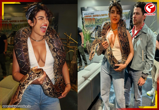 Breaking Jacket 555x385 (4)