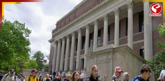 হার্ভার্ড বিশ্ববিদ্যালয়ে বন্দুকবাজের হামলা!