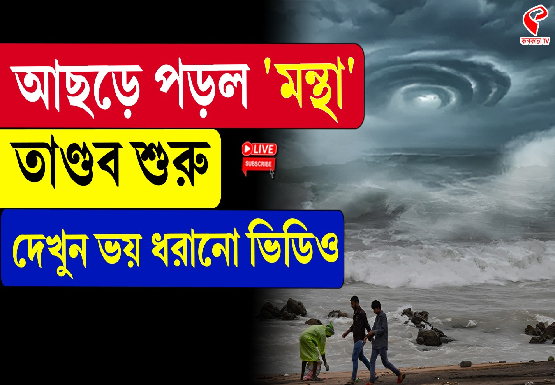 Breaking Jacket 555x385 (5) (1) (82)