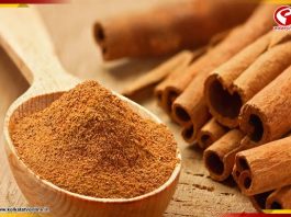 পুজোয় নিত্যনতুন এক্সপেরিমেন্টে বারোটা বেজেছে চুলের? হাল ফিরবে দারুচিনিতেই