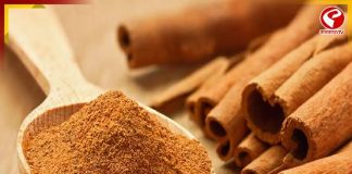 পুজোয় নিত্যনতুন এক্সপেরিমেন্টে বারোটা বেজেছে চুলের? হাল ফিরবে দারুচিনিতেই