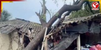বিধ্বংসী টর্নেডোতে লণ্ডভণ্ড সন্দেশখালি! মেডিক্যাল ক্যাম্পের আয়োজন করল সিপিএম