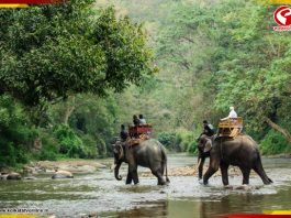 প্রবল দুর্যোগে বন্ধ জলদাপাড়া জাতীয় উদ্যান
