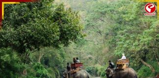 প্রবল দুর্যোগে বন্ধ জলদাপাড়া জাতীয় উদ্যান