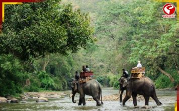 প্রবল দুর্যোগে বন্ধ জলদাপাড়া জাতীয় উদ্যান