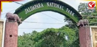 প্রাকৃতিক দুর্যোগ কাটিয়ে ছন্দে ফিরছে জলদাপাড়া জাতীয় উদ্যান