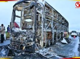 বাইক-বাস সংঘর্ষ! অন্ধ্রপ্রদেশে মৃত অন্তত ১২