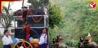 দুর্যোগ কাটিয়ে সেজে উঠছে পাহাড়, ডুয়ার্স! উত্তরবঙ্গে এখন কী অবস্থা?