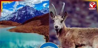 বৈচিত্রময় হিমাচলকে কী স্বীকৃতি দিল UNESCO? জানলে গর্বিত হবেন