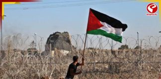 যুদ্ধ ফুরোতেই গাজার বুকে জন্ম নিল সিঙ্গাপুর! কীভাবে? জেনে নিন