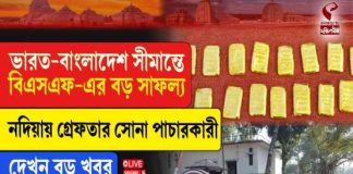 ভারত-বাংলাদেশ সীমান্তে বিএসএফ-এর বড় সাফল্য, নদিয়ায় গ্রেফতার সোনা পাচারকারী
