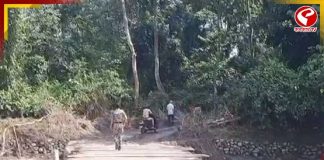 জলদাপাড়ায় খুলল হলং নদীর কাঠের সেতু, খুশি স্থানীয় থেকে ব্যবসায়ীরা