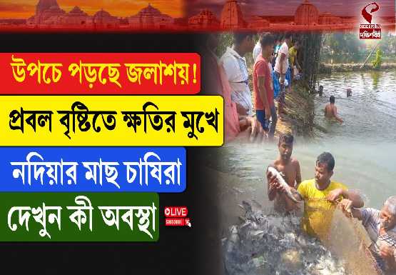 NADIA FISH FARMING