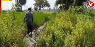 গ্রামে নেই রাস্তা, কেন্দ্রের টাকা খরচ করে না রাজ্য! অভিযোগ সৌমিত্র খাঁ’র