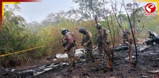 কেনিয়ায় ভয়াবহ বিমান দুর্ঘটনা, ১২ পর্যটকের মৃত্যু