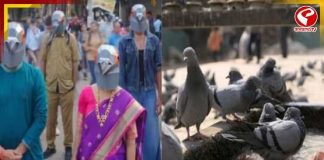 মুম্বইয়ে PETA ইন্ডিয়ার ‘পিজিওন মাস্ক’ প্রতিবাদ ঘিরে বিতর্ক