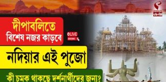 দীপাবলিতে বিশেষ নজর কাড়বে নদিয়ার এই পুজো, কী চমক থাকছে দর্শনার্থীদের জন্য?