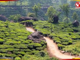 বিশ্ব পর্যটনে দ্রুত বাড়ছে ভারতের জনপ্রিয়তা!