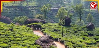 বিশ্ব পর্যটনে দ্রুত বাড়ছে ভারতের জনপ্রিয়তা!