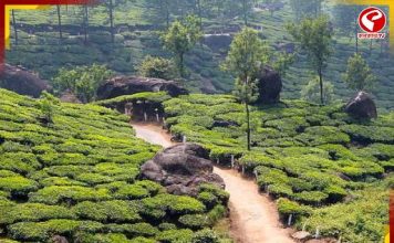 বিশ্ব পর্যটনে দ্রুত বাড়ছে ভারতের জনপ্রিয়তা!