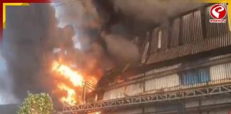 রংয়ের কারখানায় ভয়াবহ অগ্নিকাণ্ড! ঘটনাস্থলে দমকলের ২০টি ইঞ্জিন