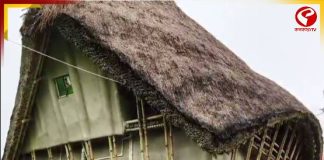 মুক্তির কৃপাতেই ঝড়ঝাপটা থেকে মিলবে ‘মুক্তি’, সুন্দরবনের ঘরে জাপানি প্রযুক্তির ছোঁয়া