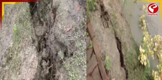 গৌড়েশ্বর নদী বাঁধে ২০০ ফুট ফাটল, হুড়হুড় করে জল ঢুকছে চাষের জমিতে