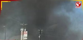 আকাশ থেকে মাটিতে আছড়ে পড়ল বিমান! মৃত ২